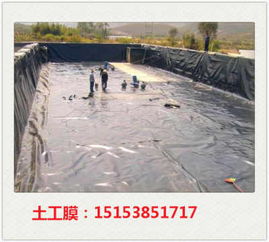 高要垃圾場(chǎng)土工膜廠家直銷(xiāo)與藕池防滲膜應(yīng)用解析 專(zhuān)業(yè)土工膜的選擇與價(jià)值