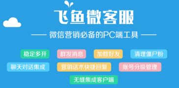 飛魚(yú)微客服v1.09 免費(fèi)微信營(yíng)銷軟件的功能與下載指南